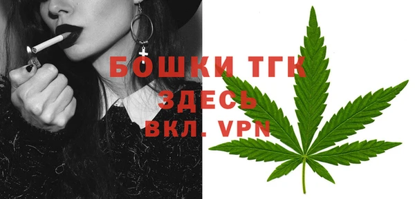 ALPHA PVP Коряжма