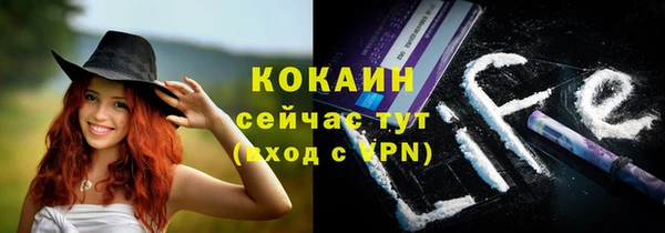 ALPHA PVP Коряжма