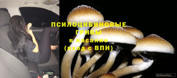 ALPHA PVP Коряжма
