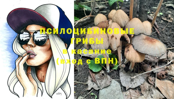 mix Костерёво
