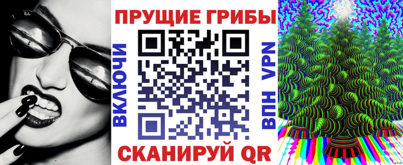 Галлюциногенные грибы MAGIC MUSHROOMS  Купить  Спас-Клепики 